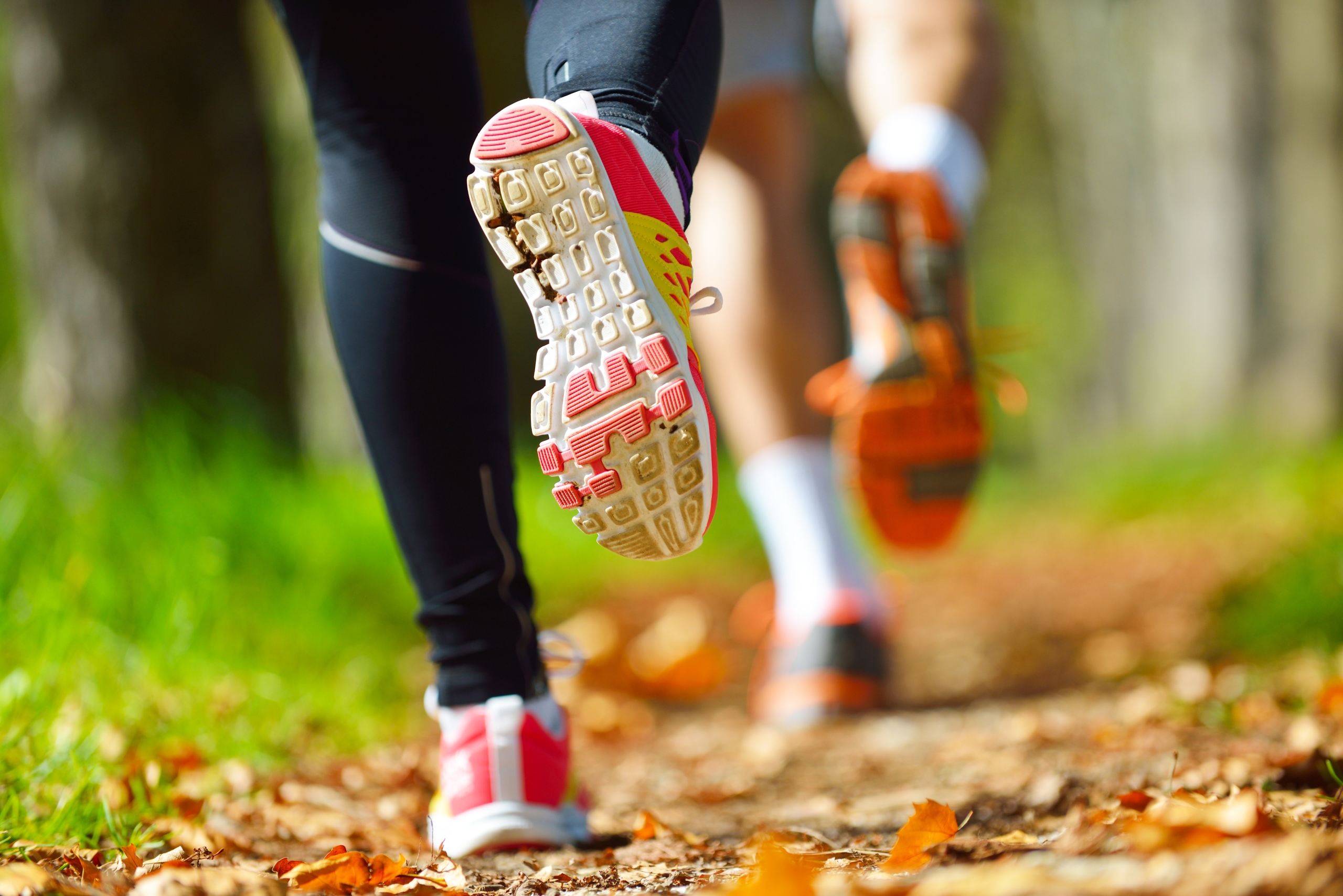 Couple jogging in the park