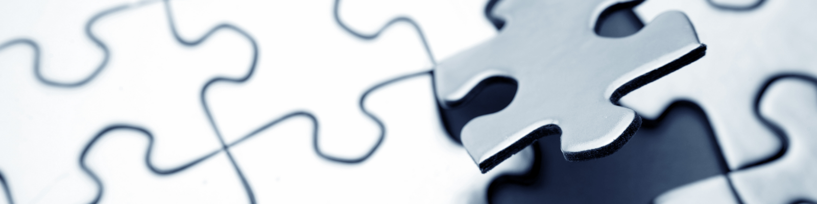 Last Puzzle Piece fitting into puzzle