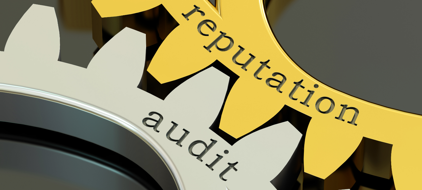 Reputation Audit